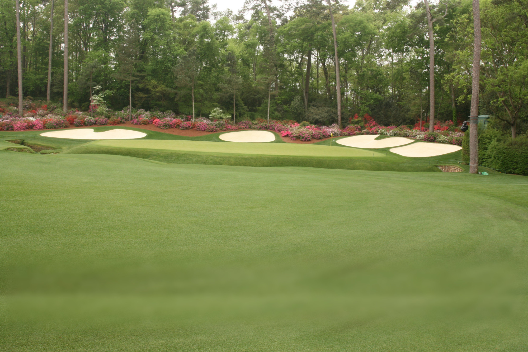 Augusta National: a golfer’s and plant enthusiast’s paradise